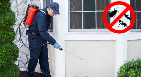 Devrekani Dezenfeksiyon böcek ilaçlama ve haşere kontrolü — ilaclama-tr.com
